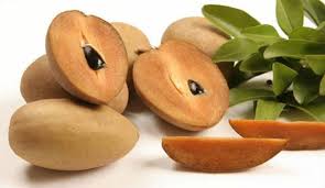 The leaves of the kulekhara plant are often used as a part of the daily cuisine especially in eastern india. What Is The Best Time For Taking Kulekhara Juice Quora
