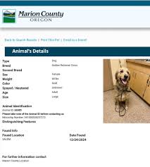 Lost and Found Pets of Oregon