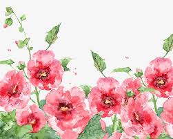Spring flowers clipart transparent background. Watercolor Spring Flowers Spring Flowers Clipart Watercolor Png Transparent Clipart Image And Psd File For Free Download Flower Painting Images Watercolour Flowers Painting Flower Painting
