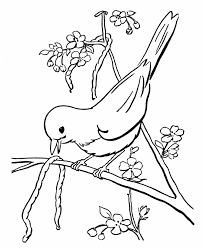 Print our free thanksgiving coloring pages to keep kids of all ages entertained this novem. Drawing Birds 11885 Animals Printable Coloring Pages