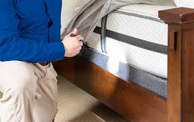 Abc pest control specializes in bed bugs, bee and wasp control, ant control, german roach control, carpenter ants, invasive grass, lawn pest we are the leading provider of pest control and termite treatment in tampa, florida area. Bed Bug Control Total Pest Control For Tamp Fl Properties