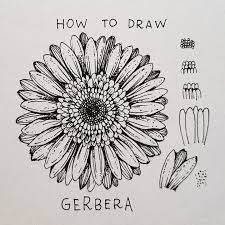 Alice Shared A Video On Instagram Gerbera Today S Flower Gerbera Step By Step It Could Seem Sunflower Drawing Flower Art Drawing Floral Drawing