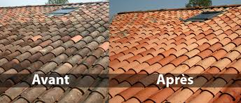Ainsi, vous pouvez en assurer que le traitement ne soit pas emporté ni par le vent ni par la pluie. Nettoyage De Toitures Traitement Anti Mousse Hydrofugation Bouches Du Rhone