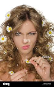 Daisies in background hi-res stock photography and images