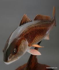 Pin By Lisa Radschweit On Sticks And Stones Fish Wood Carving Wood Carving Art Carving