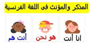 قاموس المذكر والمؤنث في اللغة الفرنسية Blog Blog Posts