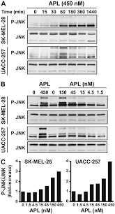 La plitidepsina, un fármaco antiviral que demostró una disminución del 99 por ciento de las cargas indigo staff. Plitidepsin Has A Dual Effect Inhibiting Cell Cycle And Inducing Apoptosis Via Rac1 C Jun Nh2 Terminal Kinase Activation In Human Melanoma Cells Journal Of Pharmacology And Experimental Therapeutics