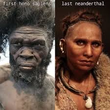 Are early human hair textures reconstructed from archaeological findings?