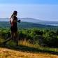 Blue Hill Mountain Trail Fest 5k, 10k, 25k, 50k