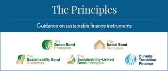 Eric estevez is financial professional for a large multinational corporation. Sustainable Finance Icma