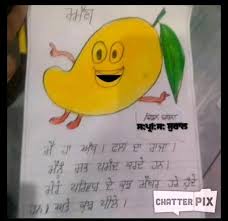 The fruit of the mango tree is a drupe that varies in size and shape with shades of red and yellow or dull green. Poem In Punjabi On Mango My Favourite Fruit Brainly In