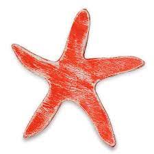 Estrella De Mar Roja Nautical
