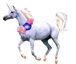 Unicorn Pic Png Transparent Background Free Download 44504 Freeiconspng 43 transparent png illustrations and cipart matching unicorn emoji. unicorn pic png transparent background