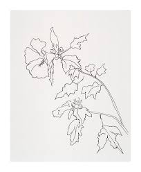 Rose Of Sharon Flower By Casey Chalem Anderson On Artfully Walls Rose Of Sharon Art Prints Online Plant Drawing