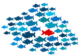 Anomaly meaning, definition, what is anomaly: We Built A Bot For Anomalies Here S How Zapier Alerts Its Teams By Zapier Slack Platform Blog Medium