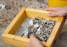 Science Surprises: Fossils