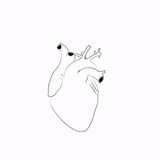 The most detailed animated 3d heart model ever created. Gif Love Herz Heart Animated Gif On Gifer