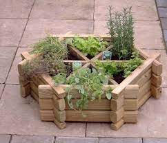 Pin On Backyard Garden Layout