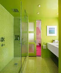 Maybe you would like to learn more about one of these? Lime Green Bathroom Ideas Houzz