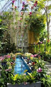 U S Botanic Garden Conservatory Washington D C Picture Botanical Gardens Orchids Plant Nursery
