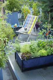 Epingle Par Botanic Sur Cultivons Deco Balcon Deco Jardin Deco Exterieure