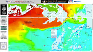 Chlorophyll Fish Forecast Hiltons Offshore In The Spread