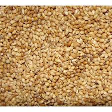 With over 90 uk stores and the lowest prices, shop online or in store today. Foxtail Millet At Rs 27 Kilogram Foxtail Millet Id 16171366988