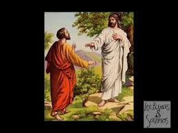 Pin En Lecturas Salmos
