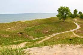 The little manistee river is a popular fishery for the trout fisherman, and lake michigan has countless charter boats that can take you on a deep sea type of fishing expedition. 23 Best Lake Michigan Campgrounds