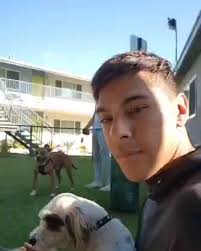 Honestly guys I'm like the Nick Cannon of dogs 😏 finally all my sons get  to spend time together and be a liddo doggo family 🥺