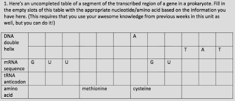 Translation Biology Video Clutch Prep