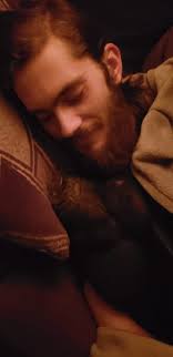 Miss Hawk, The Mischievous Mini Pig