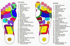 Sakit tumit kaki selalunya akan terjadi kepada plantar fasciia merupakan tisu di bahagian tapak kaki yang berperanan menyamaratakan tekanan di bahagian kaki. Sakit Tapak Kaki Kiri Bahagian Tengah Malayfeers