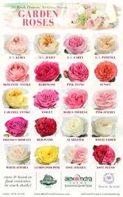 Jet Fresh Flower Variety Sheets Posters