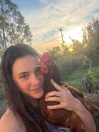 Hi! I'm from Brazil (so sorry if my English isn't great lol) This year my  family and I realized our biggest dream: buy some land and start to build  our home. I'm