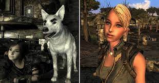 25 Things Only Super Fans Knew They Could Do In Fallout 3
