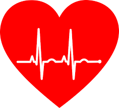 Image result for Cardiac Output