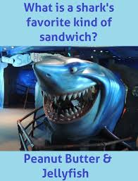 Shark Joke What Is A Shark S Favorite Kind Of Sandwich Peanut Butter Jellyfish You Can Find Thi Disney Jokes Shark Jokes Classic Disney Characters