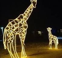 Outdoor Large Animals LED Christmas Light Giraffe Lighted Motif for Zoo  Park Commercial Plaza Decoration