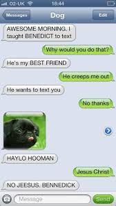Haylo Hooman Hello Human Funny Dog Texts Dog Texts If Dogs Could Text