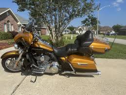 Image result for Bright Wineberry 1993 FXSTS