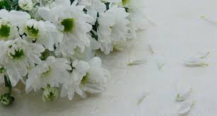 Flowers bakery london ky application. London Funeral Home London Ky