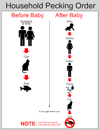 Funny Flow Chart My Market Research Methods