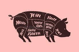 Pig Butcher Chart Stock Illustrations 307 Pig Butcher