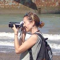 Image result for Rhynchosia pseudoviscosa