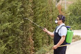 We have been proudly serving the summerville area since 2012. Pest Control Summerville Exterminator Summerville
