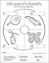Butterfly Life Cycle Activity Worksheet For Preschools Butterfly Life Cycle Preschool Butterfly Life Cycle Kindergarten Life Cycles Preschool