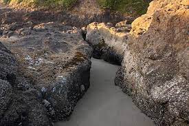 Tickets, tours, address, strawberry hill wayside reviews: A Trippy Central Oregon Coast Labyrinth Strawberry Hill Near Yachats Upper Lane County Virtual Tour