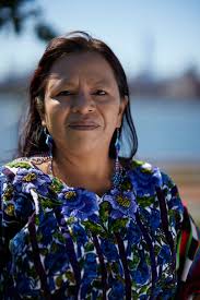 The forest symbolizes life itself”