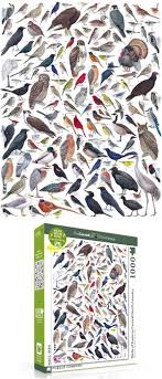 Birds Of Eastern North America Puzzle Go Bird Watching In The Comfort Of Your Own Home With This Puzzle That Reveals 120 Birds Of Eastern And Central N Bird Illustration Animal Lover Nyc Subway Map